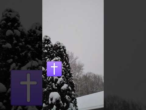 Image YouTube