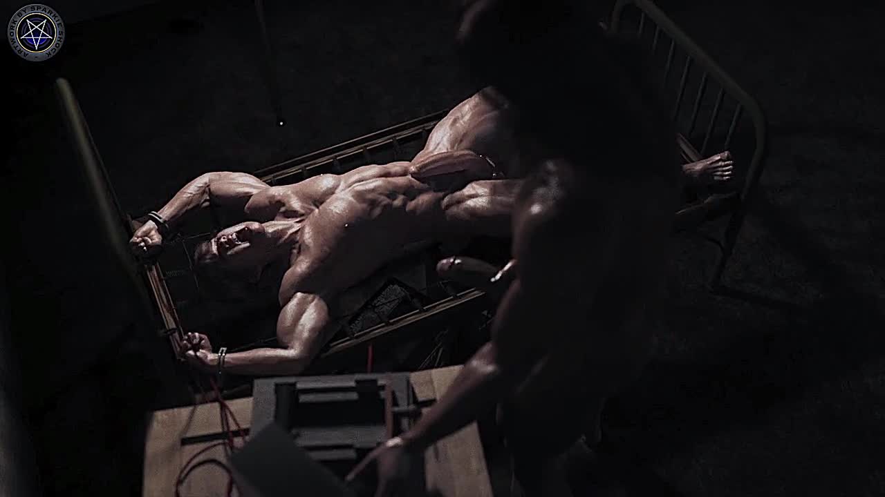 Animation Plus Vraie Que Nature D’un Électro Des Noix