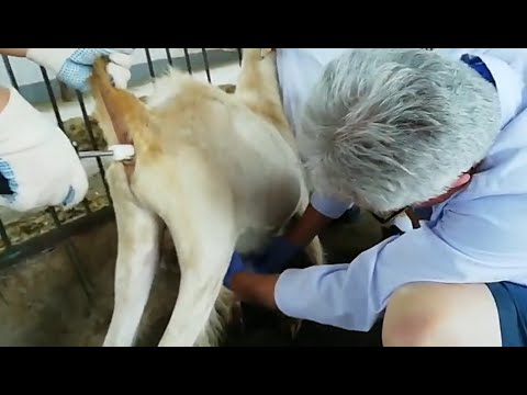Image YouTube