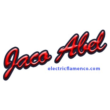 Profil DailyMotion de l’utilisateur Electric Flamenco School