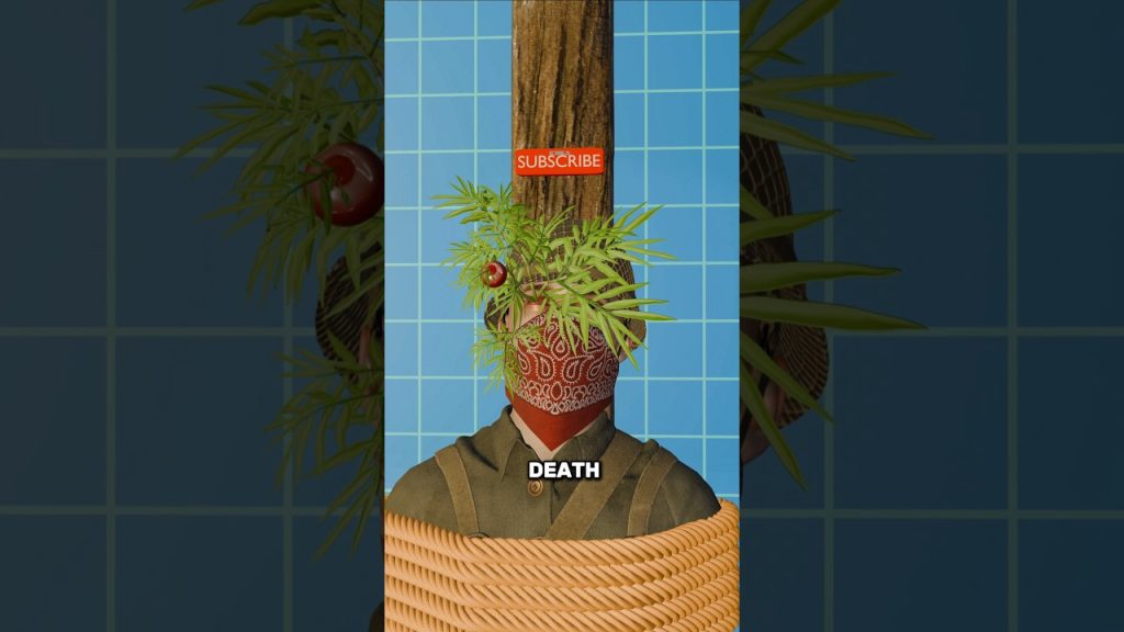 Youtube castigo BDSM: How Bamboo Torture Works 🤔
